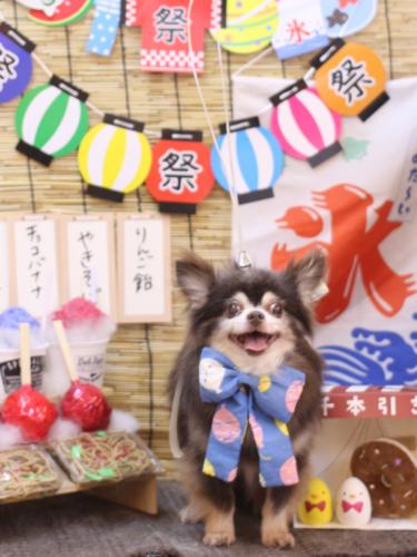 20240713チップくん